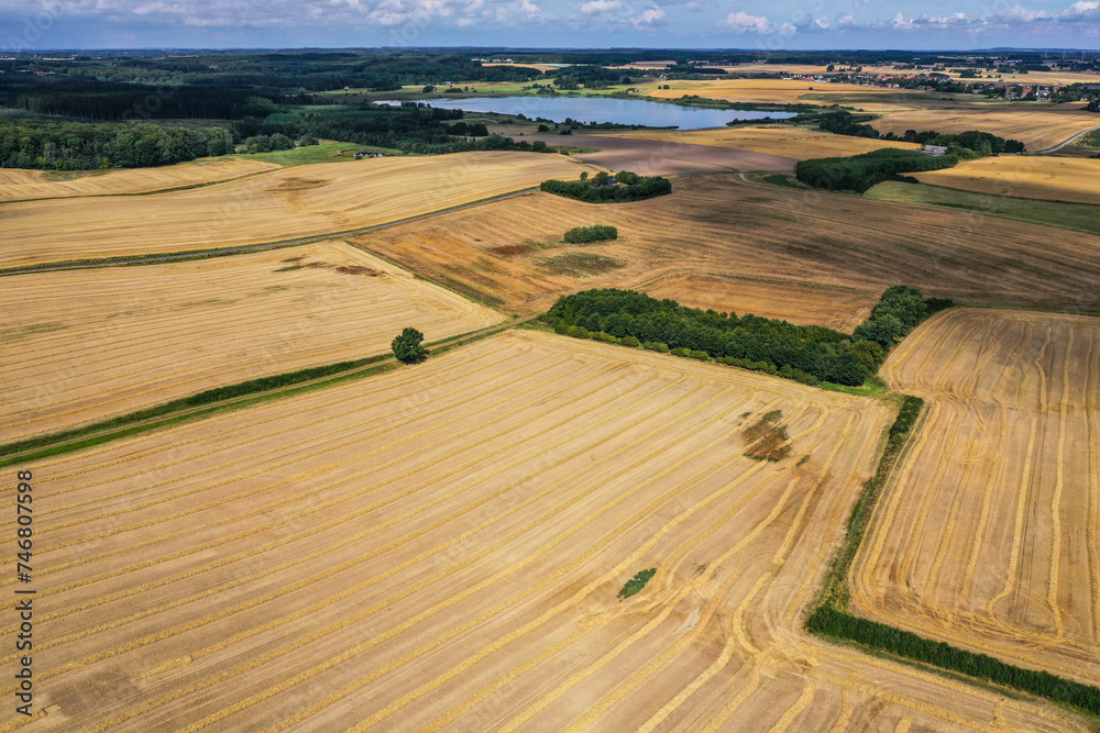 Aerial view of fields in Denmark on a summer day