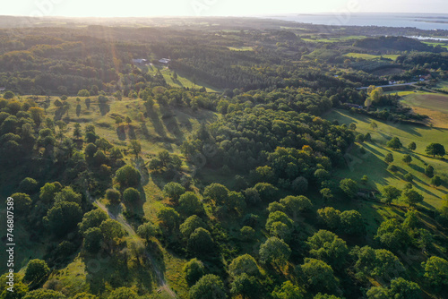aerial view of trees and forest in Denmark