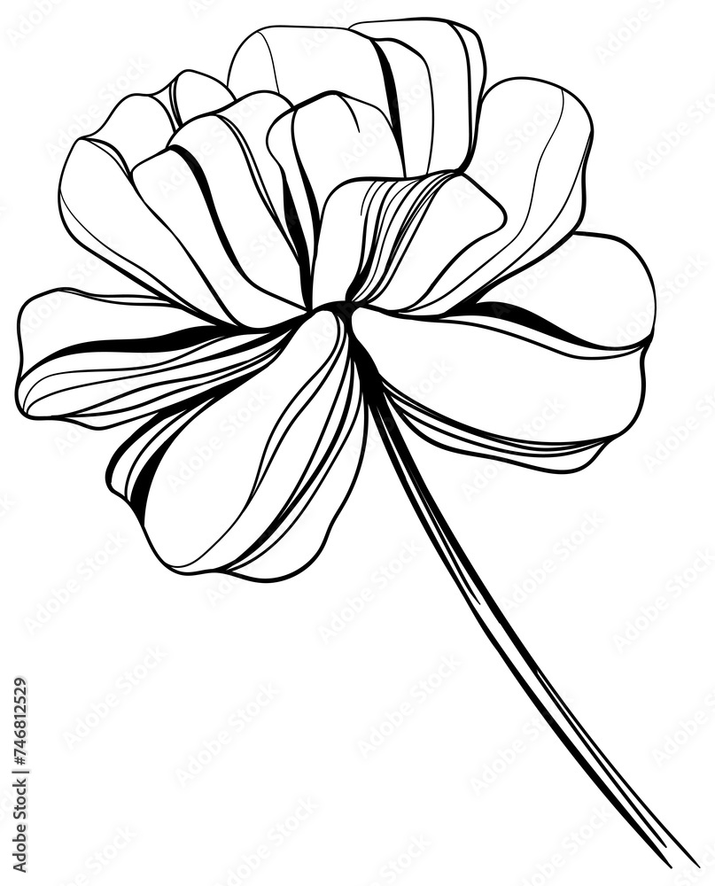 Abstract wild flower isolated on white background. Black and white engraved ink art illustration. Abstract wild flower isolated on white background. Black and white engraved ink art illustration.
