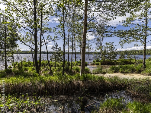 Beautiful landscape on the Vsevolozhsk Lakes, in the Leningrad region in North-West Russia photo