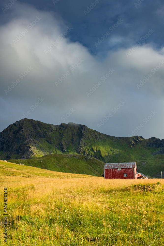 Red house in a grass field under a mountain in the Lofoten Islands, Norway