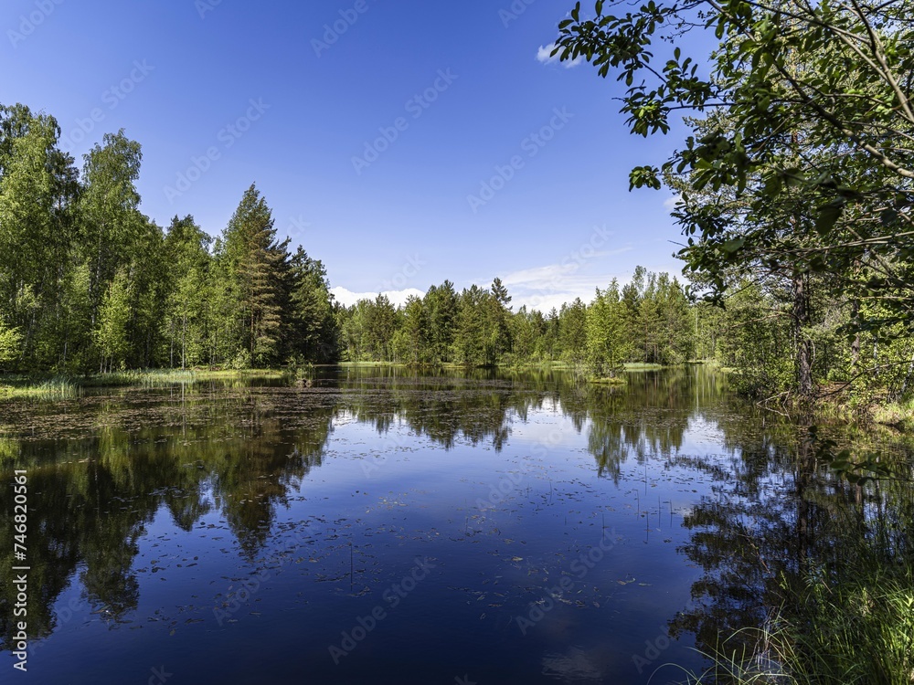 Beautiful landscape on the Vsevolozhsk Lakes, in the Leningrad region in North-West Russia Beautiful landscape on the Vsevolozhsk Lakes, in the Leningrad region in North-West Russia