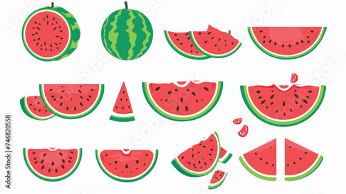 flat logo vector watermelon and juicy slices vector