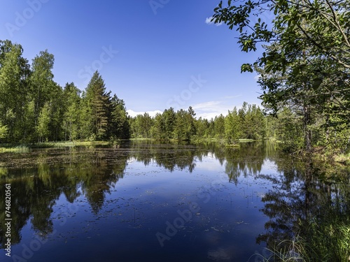 Beautiful landscape on the Vsevolozhsk Lakes, in the Leningrad region in North-West Russia