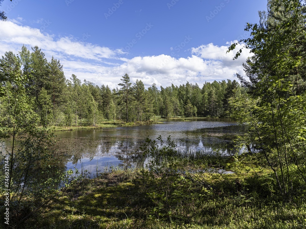 Beautiful landscape on the Vsevolozhsk Lakes, in the Leningrad region in North-West Russia Beautiful landscape on the Vsevolozhsk Lakes, in the Leningrad region in North-West Russia