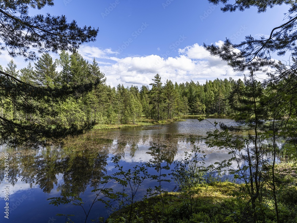 Beautiful landscape on the Vsevolozhsk Lakes, in the Leningrad region in North-West Russia Beautiful landscape on the Vsevolozhsk Lakes, in the Leningrad region in North-West Russia