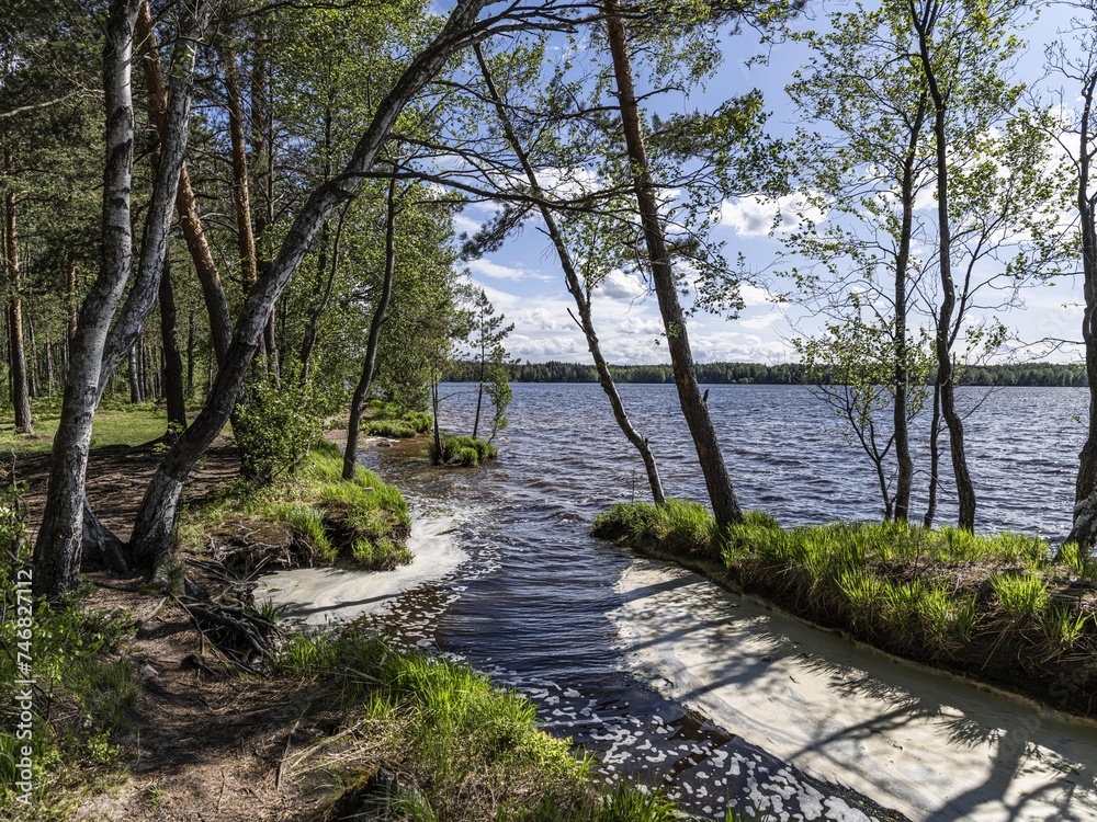 Beautiful landscape on the Vsevolozhsk Lakes, in the Leningrad region in North-West Russia Beautiful landscape on the Vsevolozhsk Lakes, in the Leningrad region in North-West Russia