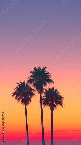 A cluster of palm trees against a sunset sky Calmness atmospheric photo footage for TikTok  Instagram  Reels  Shorts