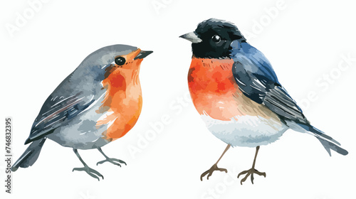 watercolor robin and bullfinch birds isolated on white