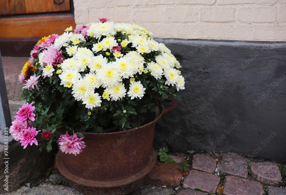flowers in ceramic pots on the city streets flowers in ceramic pots on the city streets