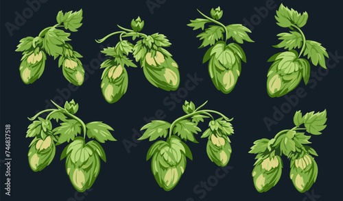 Hops vector flat minimalistic asset isolated vector style illustration
