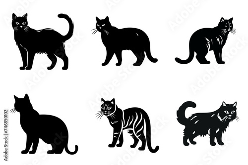 set of cats black and white  vector illustration isolated transparent background logo  cut out or cutout t-shirt print design