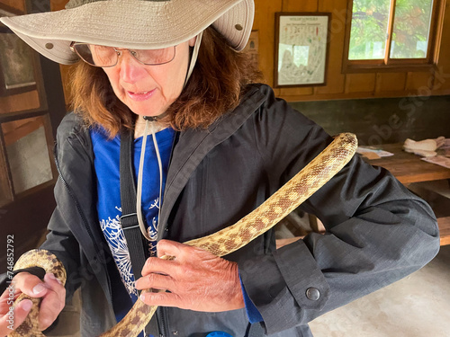 A Mature Woman Naturalist Experiencing a Gopher Snake for the First Time showing ophidiophobia,  The Fear of Snakes photo
