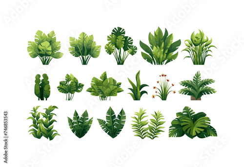 Rainforest vegetation set vector flat isolated vector style illustration