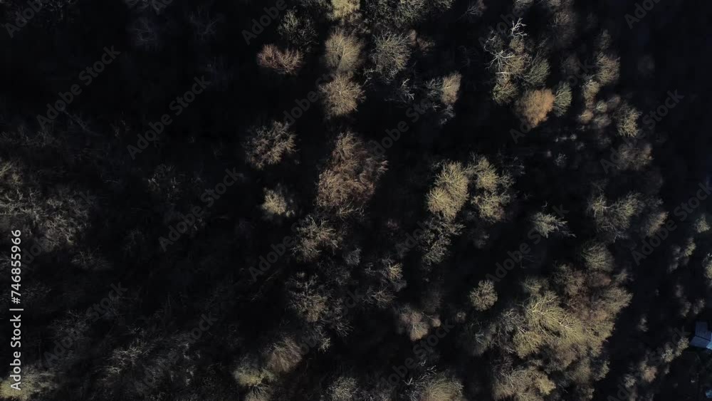 Mirar a través de un drone es mágico. Se ven árboles, montañas, casas, picos de espacios, pueblos mágicos, nieves inmensas que amas.