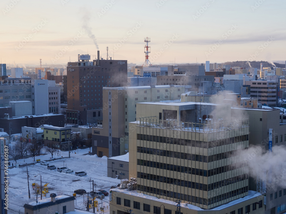 Obraz premium ハイアングルで見た朝の冬の旭川市の街並みの風景