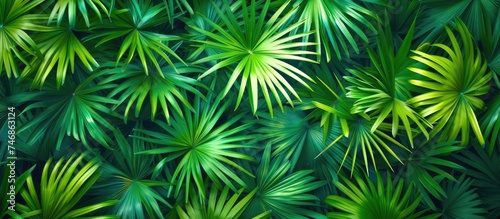 This close-up view showcases a bunch of vibrant green palm leaves  showcasing their fresh and lush appearance. The leaves are arranged closely together  displaying their intricate veins and rich green