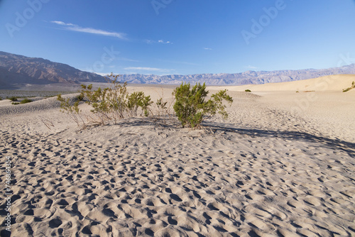 Footprints in the sand at Mesquite Flat Sand Dunes, Death Valley National Park, California