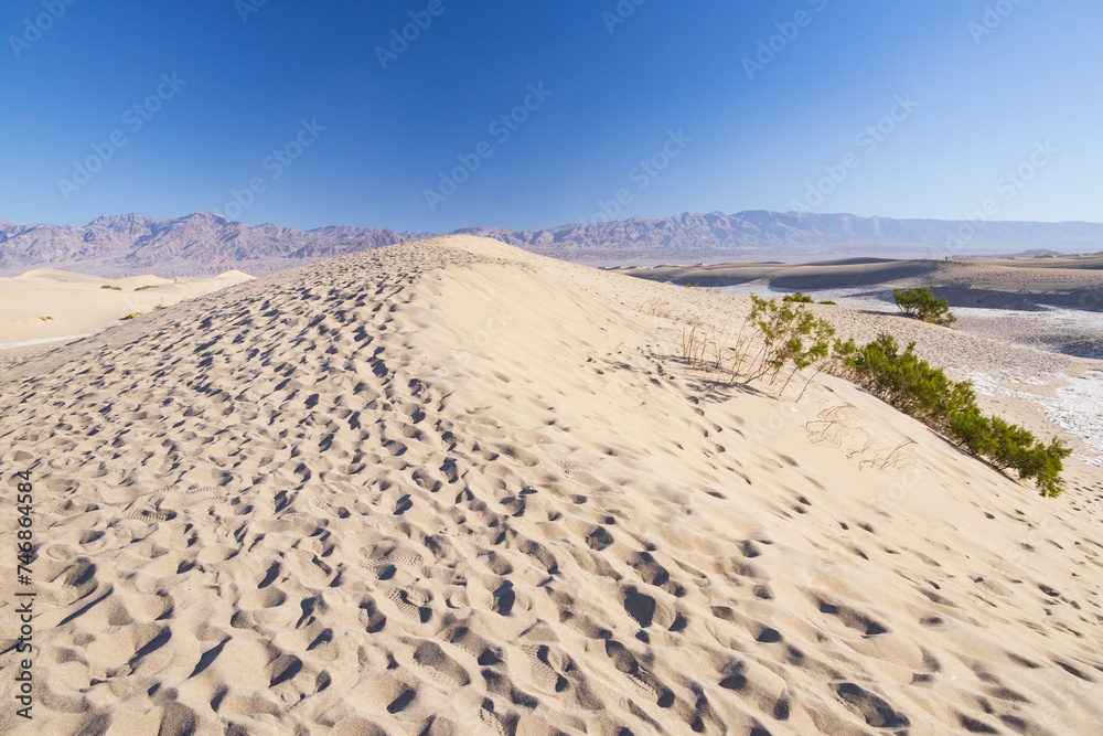 Footprints in the sand at Mesquite Flat Sand Dunes, Death Valley National Park, California Footprints in the sand at Mesquite Flat Sand Dunes, Death Valley National Park, California