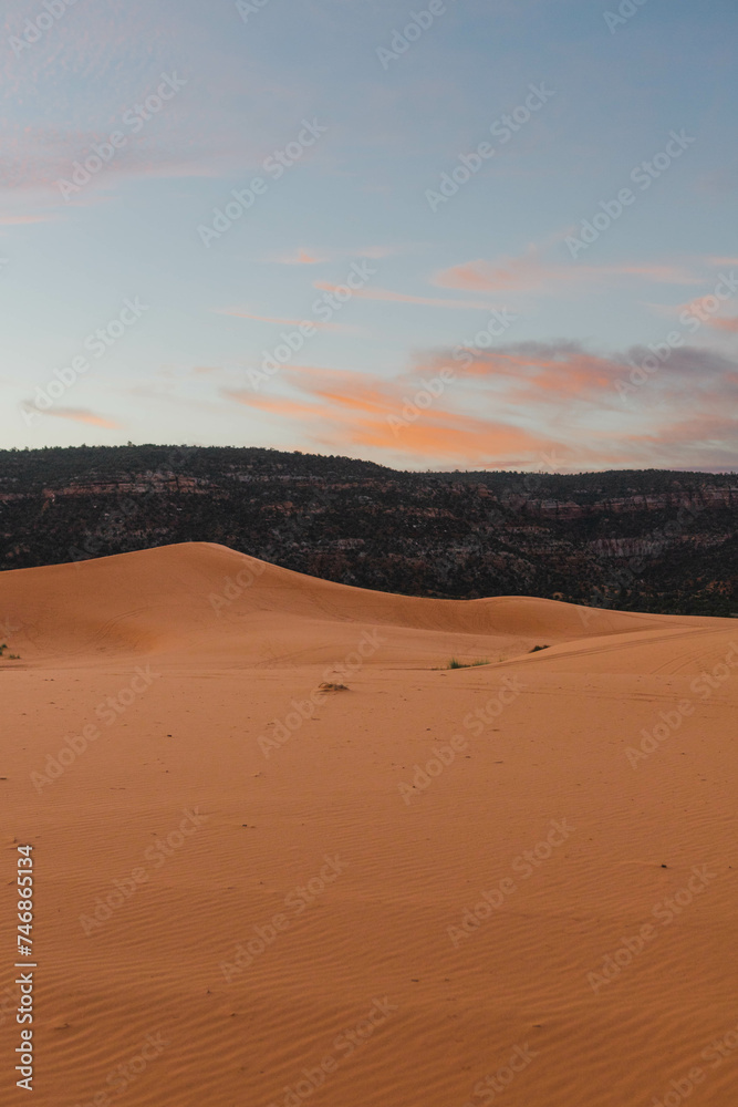 Coral Pink Sand Dunes, UT Coral Pink Sand Dunes, UT