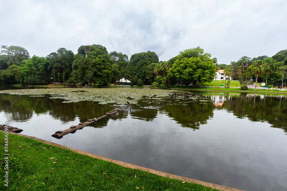 SÃO PAULO, SP, BRAZIL - FEBRUARY 03, 2024: Wide-angle lake with turtles and aquatic plants in Alberto Lofgren State Park, better known as Horto Florestal (Forest Garden).