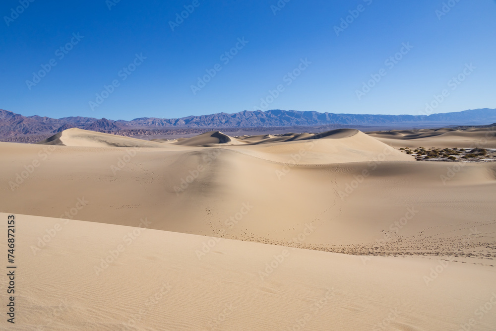 Mesquite Flat Sand Dunes, Death Valley National Park, California Mesquite Flat Sand Dunes, Death Valley National Park, California