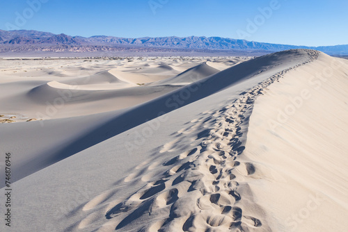 Mesquite Flat Sand Dunes  Death Valley National Park  California