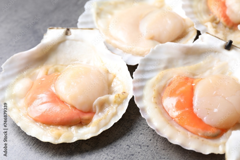 Fresh raw scallops in shells on grey table, closeup Fresh raw scallops in shells on grey table, closeup