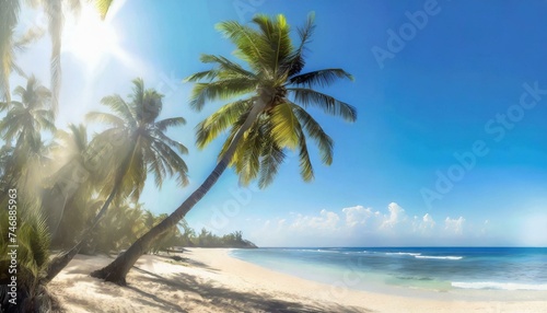 Panorama of tropical beach with coconut palm trees 