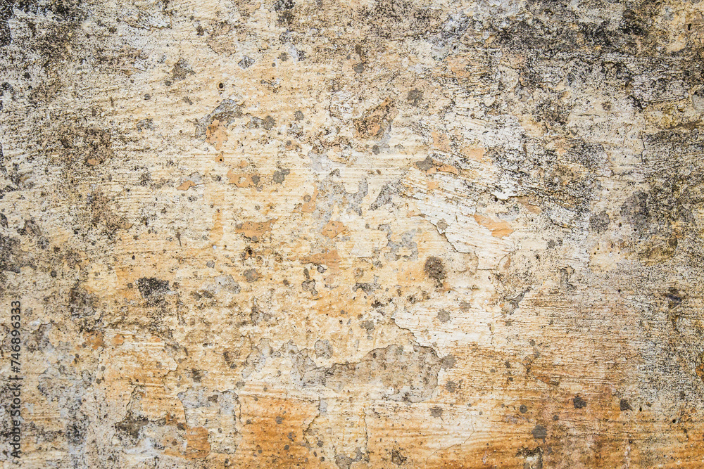 Fototapeta premium Grunge background and texture