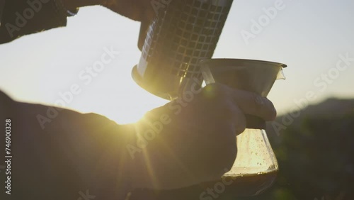 Coffee farmer analyzing coffee plant on his farm