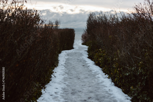 landscape with snow