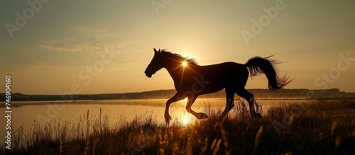 Majestic horse running freely in lush grass near tranquil water