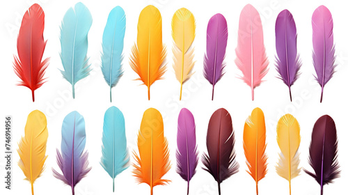 A series of striking feathers displayed without branding, highlighting their natural beauty and vivid colors. © MT Studio