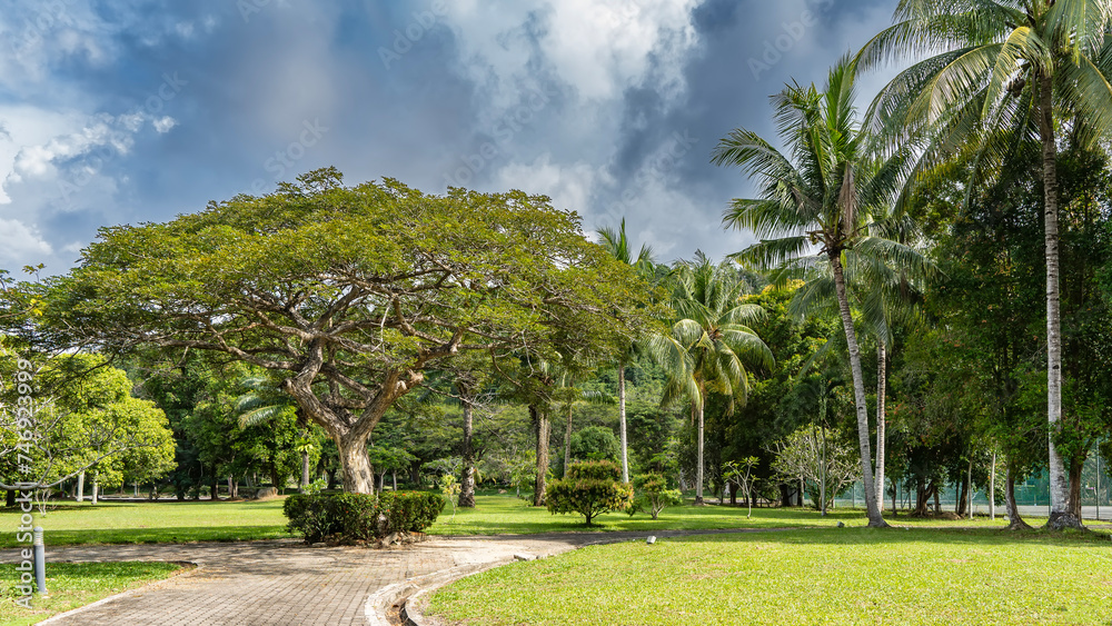 A paved footpath winds through the tropical park. Bushes, deciduous trees, tall coconut palms grow on a green lawn. Blue sky, clouds. Malaysia. Borneo. Kota Kinabalu A paved footpath winds through the tropical park. Bushes, deciduous trees, tall coconut palms grow on a green lawn. Blue sky, clouds. Malaysia. Borneo. Kota Kinabalu