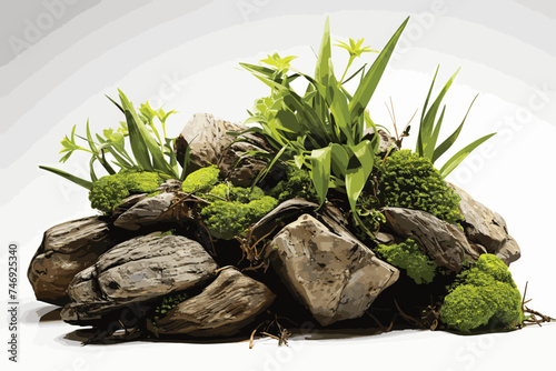 Green moss with decorative rocks and grass isolated on white background