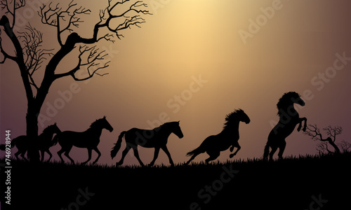 Horses silhouette in grass  meadow over sunset sky in forest landscape vector illustration background.