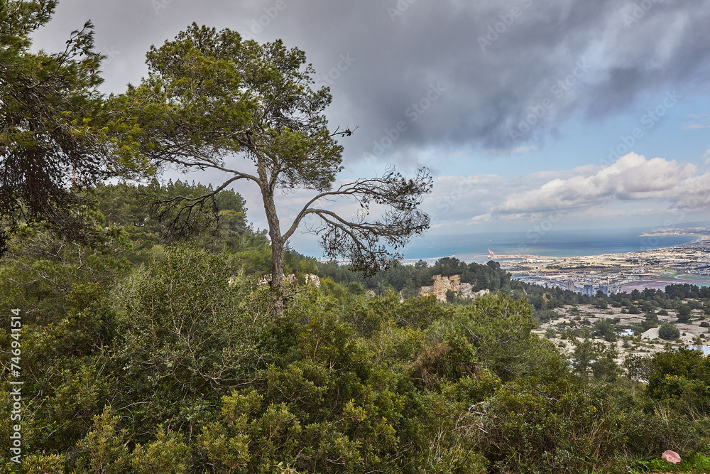 Breathtaking panoramic view of haifa from mount carmel, including sea port and residential areas