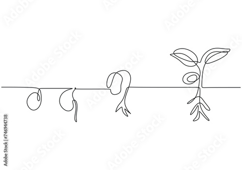 Continuous line drawing of plant growth stages. Single one hand drawn spouting growing eco concept.