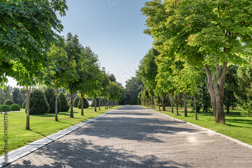 Awesome view of beautiful green alley in a city park