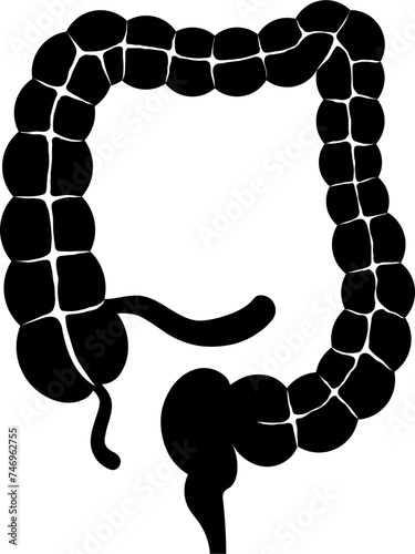 Large intestine icon in b&w color.