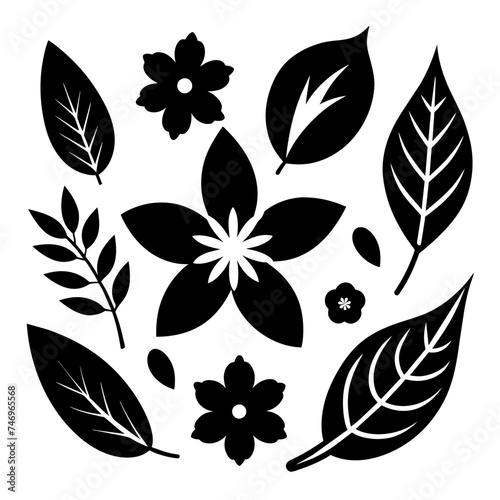 Elements of Leaf icons on white background