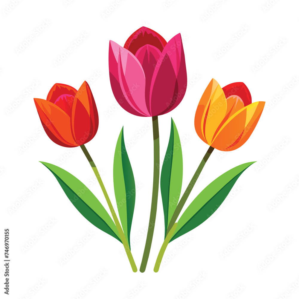 Isolated Tulips Vector Illustration on white