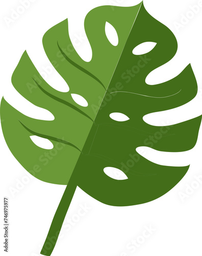 Monstera leaf icon in flat style.