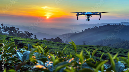 Drone Capturing Sunrise Over Lush Tea Plantation
