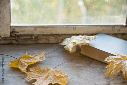 A closed, thick book rests on a rustic wooden table, surrounded by dried maple leaves, hinting at a cozy autumn day