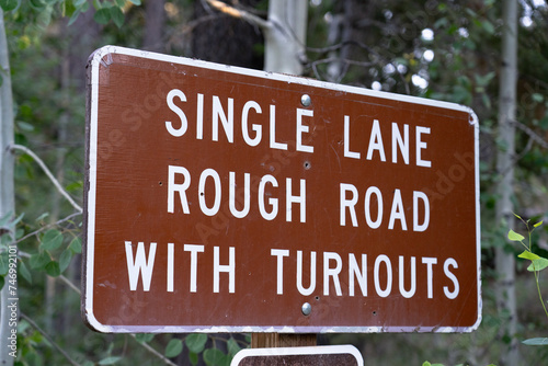 "Single Lane Rough Road With Turnouts" sign in forest. Angled side view. 