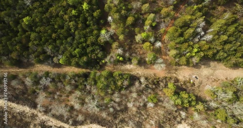 Point remove wildlife area with a dirt path and lush greenery in blackwell, ar, usa, aerial view photo