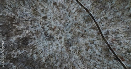 Snowy mount sequoyah trees in arkansas, capturing the dense winter landscape, aerial view photo