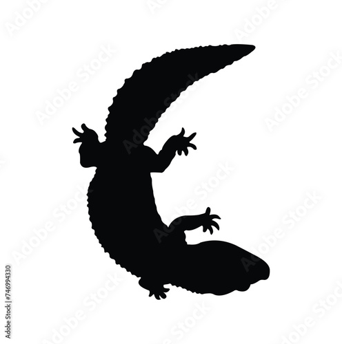 gecko vector design silhouette. black on a white background.